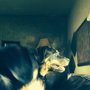 Meet your Posher, Kathy